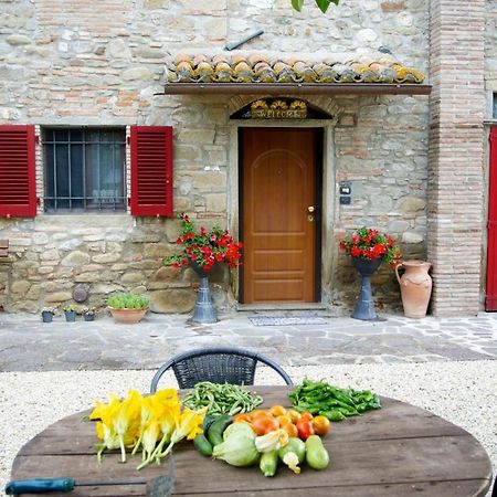 Casa Donella B&B Gricignano Екстер'єр фото